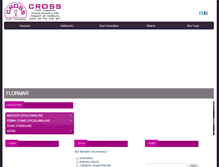 Tablet Screenshot of crossyapi.com